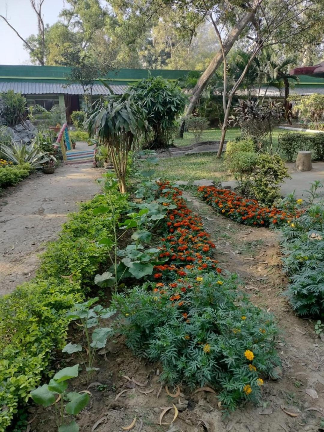 Lucky Beach Resorts , Balasore Chandipur Eksteriør billede