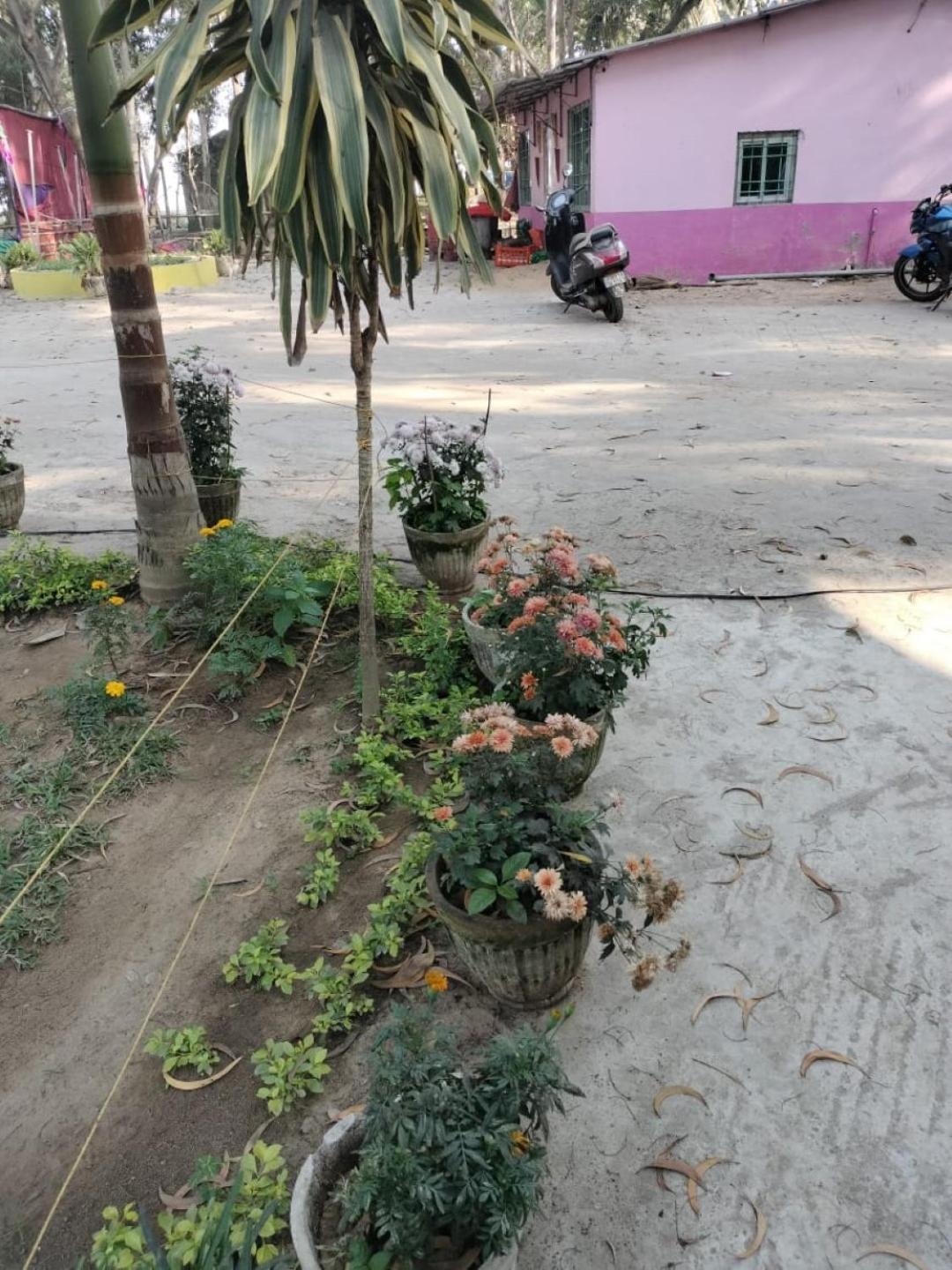 Lucky Beach Resorts , Balasore Chandipur Eksteriør billede