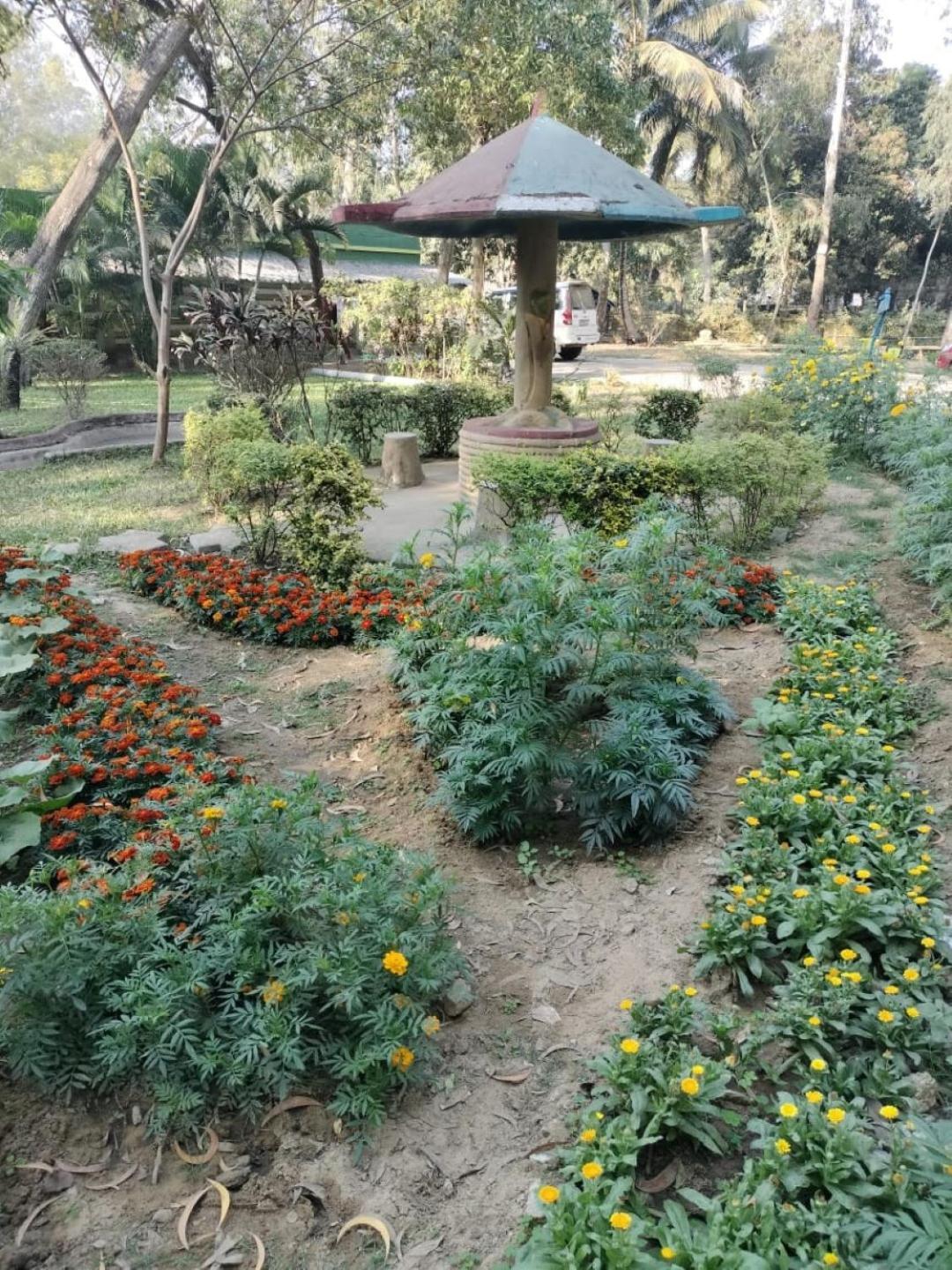 Lucky Beach Resorts , Balasore Chandipur Eksteriør billede