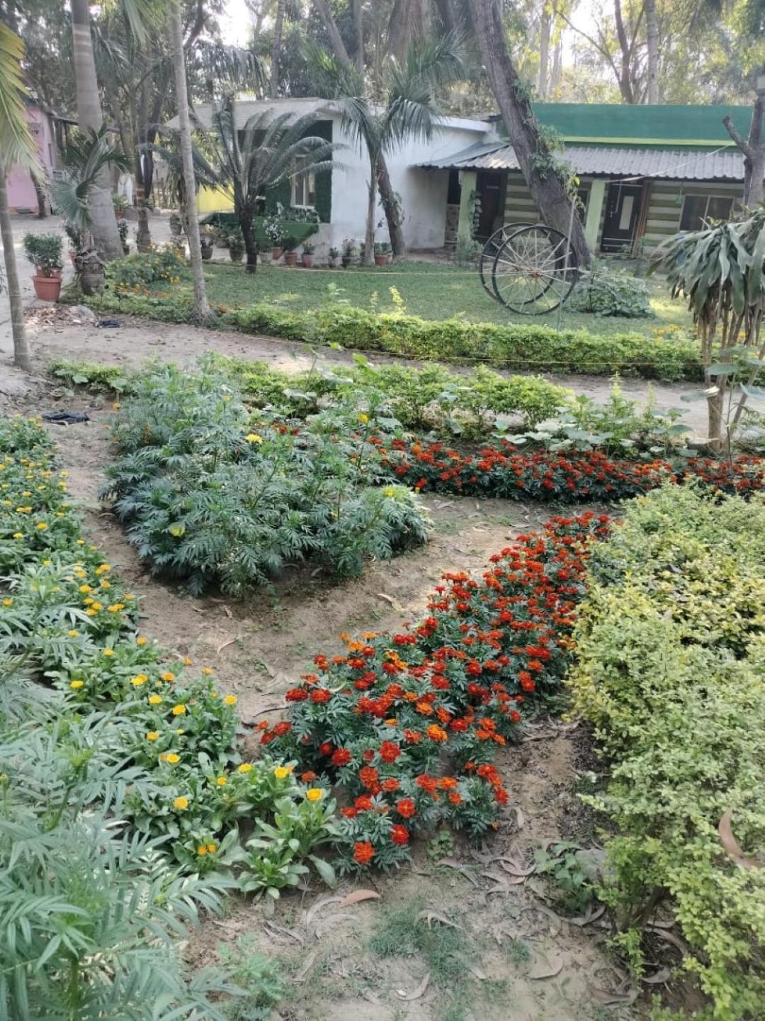 Lucky Beach Resorts , Balasore Chandipur Eksteriør billede